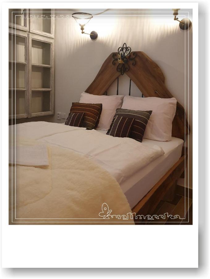 Villa Wellnesska Vyhne Extérieur photo