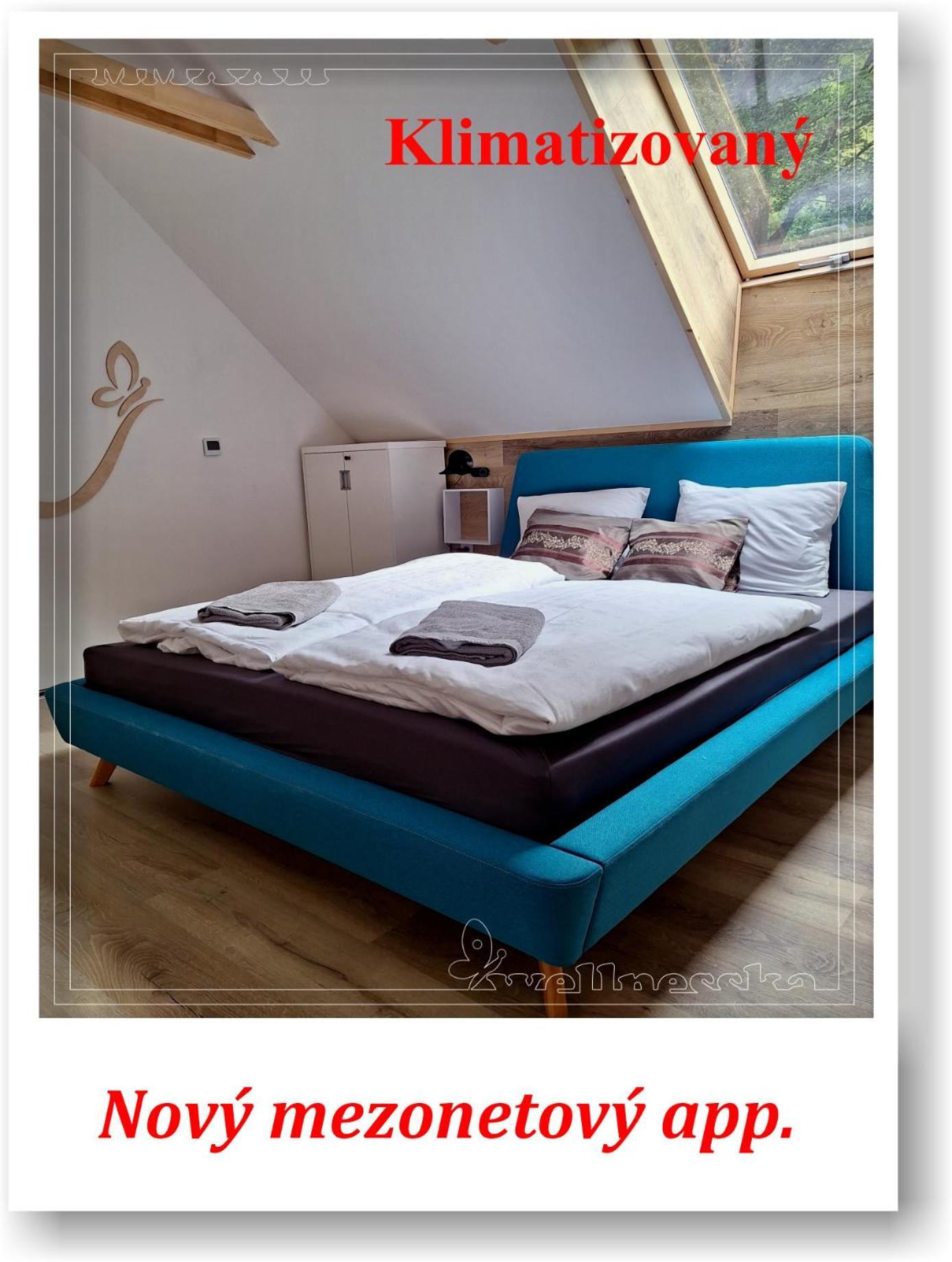 Villa Wellnesska Vyhne Extérieur photo